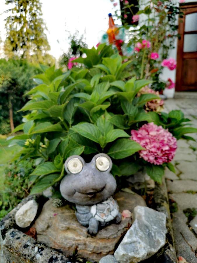Pension Treissmann Pichling bei Stainz Luaran gambar